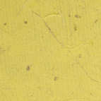 Banana - Wild Yellow/18