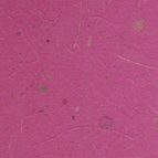 Banana - Berry/24