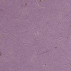 Banana - Amethyst/28