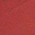 Banana - Burgundy/31