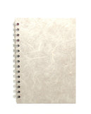 Silk - Ivory/05