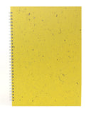 Banana - Wild Yellow/18