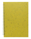 Banana - Wild Yellow/18