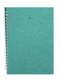 Banana - Turquoise/21