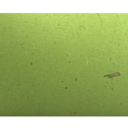 A5 Posh Cappuccino Pig - Brown 180gsm  Cartridge Paper 30 leaves Landscape