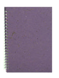 Banana - Amethyst/28