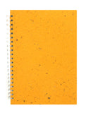 Banana - Amber/29