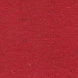 Banana - Burgundy/31