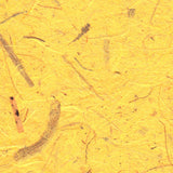 Banana - Wild Yellow/18