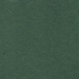 Silk - Dark Green/03