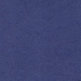 Silk - Royal Blue/02