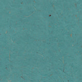 Banana - Turquoise/21