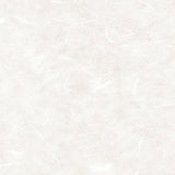 Silk - White/00